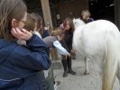 Mélinda explique comment bien nettoyer le poney après le travail